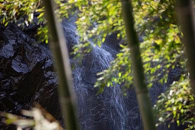 Take-Two：等《GTA6》这12年里并非什么都没做